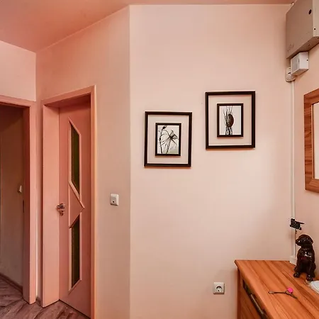 Budget 1br Flat Downtown 公寓