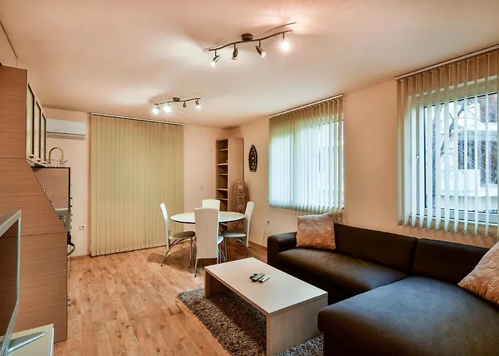 Budget 1br Flat Downtown 公寓 *