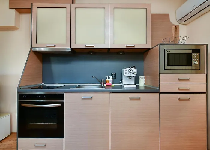 Budget 1br Flat Downtown *