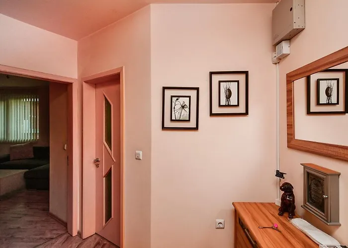 Budget 1br Flat Downtown 公寓